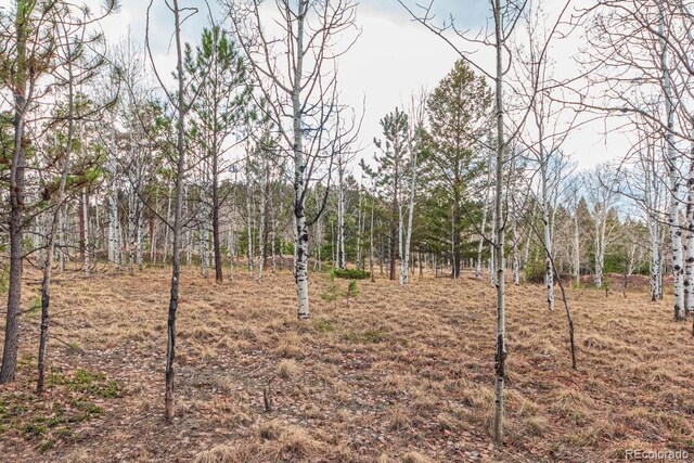 1290 Firestone Dr, Woodland Park, CO 80863 - photo 7