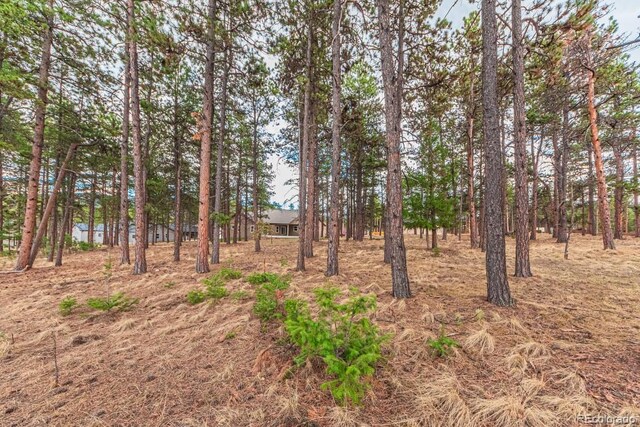 1290 Firestone Dr, Woodland Park, CO 80863 - photo 8