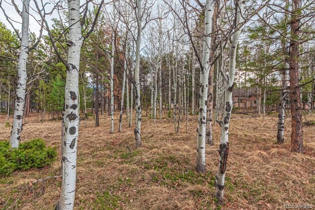 1290 Firestone Dr, Woodland Park, CO 80863 - photo 10