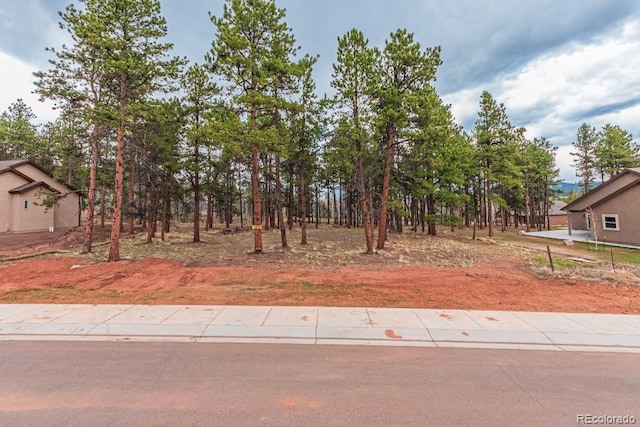 1290 Firestone Dr, Woodland Park, CO 80863 - photo 11