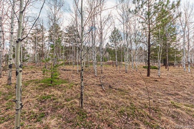1290 Firestone Dr, Woodland Park, CO 80863 - photo 12