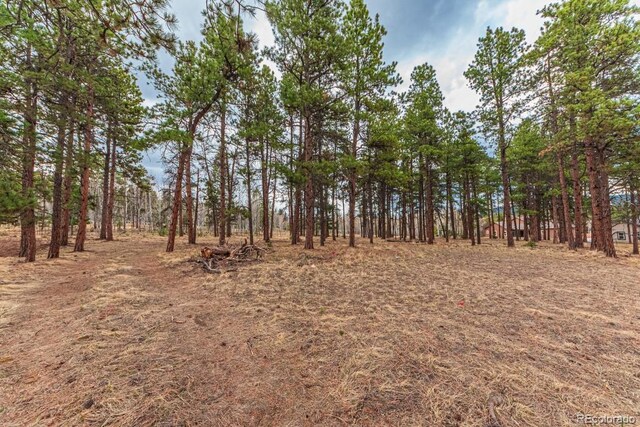 1290 Firestone Dr, Woodland Park, CO 80863 - photo 14