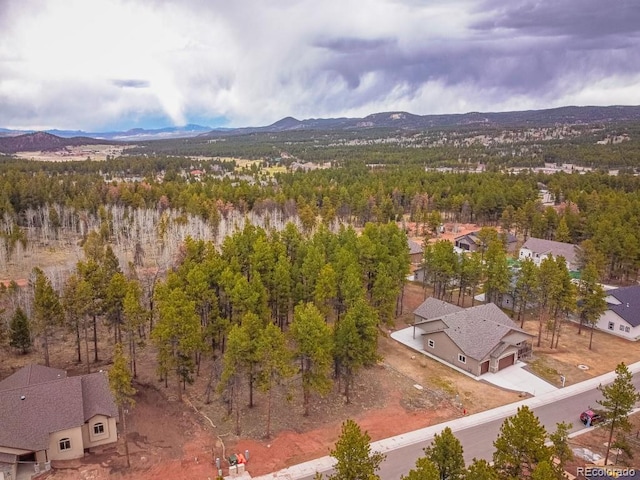 1290 Firestone Dr, Woodland Park, CO 80863 - photo 15