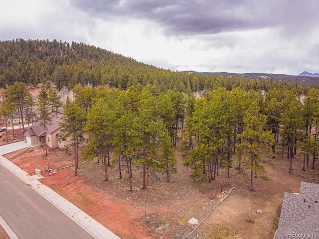 1290 Firestone Dr, Woodland Park, CO 80863 - photo 16