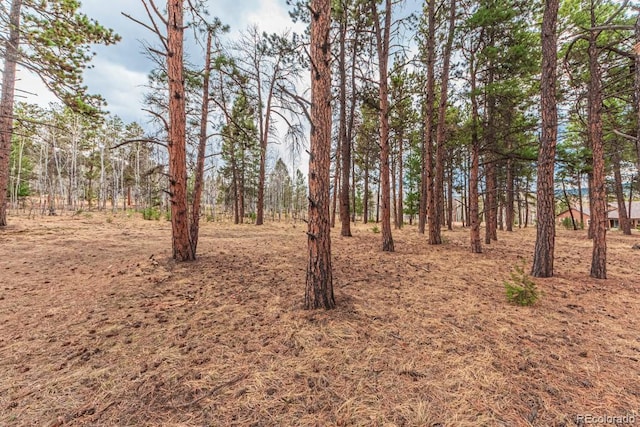 1290 Firestone Dr, Woodland Park, CO 80863 - photo 17