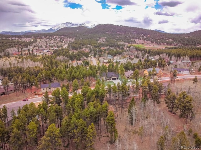 1290 Firestone Dr, Woodland Park, CO 80863 - photo 18