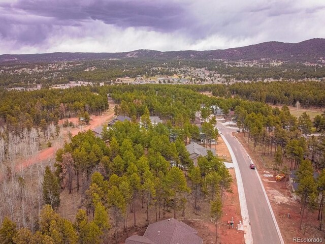1290 Firestone Dr, Woodland Park, CO 80863 - photo 19