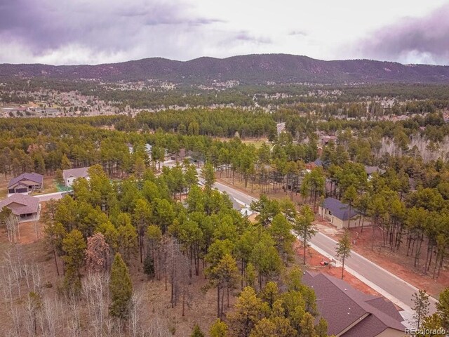 1290 Firestone Dr, Woodland Park, CO 80863 - photo 21
