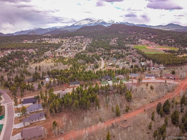 1290 Firestone Dr, Woodland Park, CO 80863 - photo 22