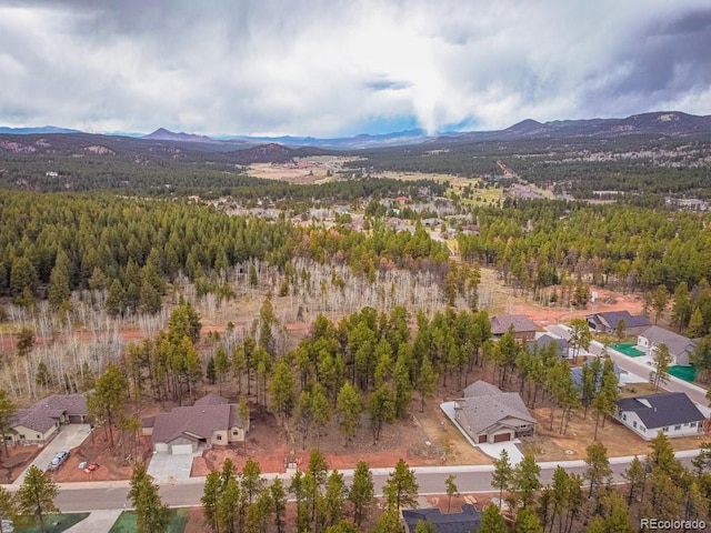 1290 Firestone Dr, Woodland Park, CO 80863 - photo 23