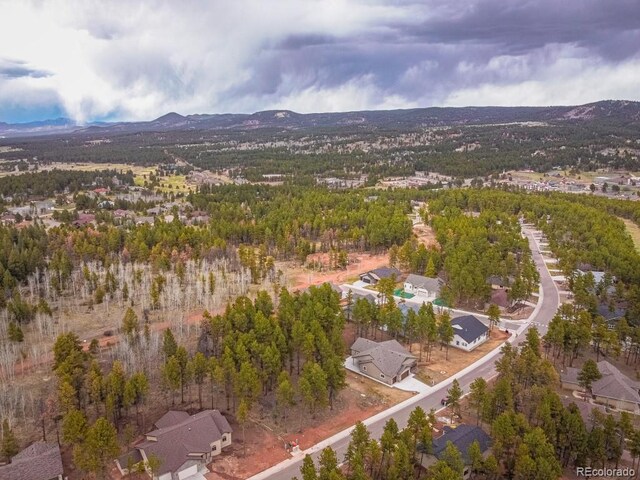 1290 Firestone Dr, Woodland Park, CO 80863 - photo 24
