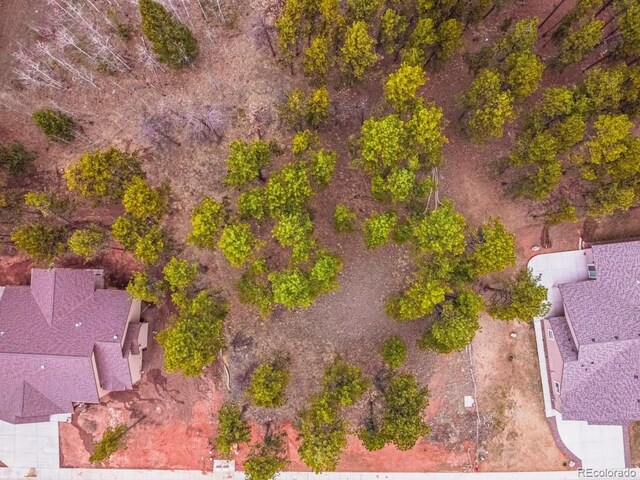 1290 Firestone Dr, Woodland Park, CO 80863 - photo 25