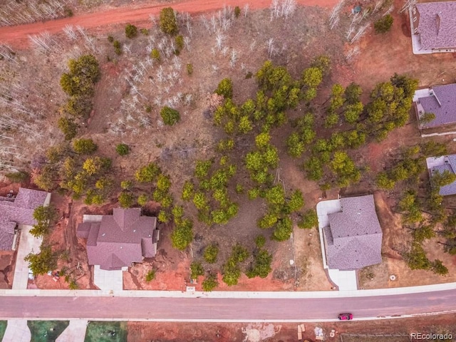 1290 Firestone Dr, Woodland Park, CO 80863 - photo 26