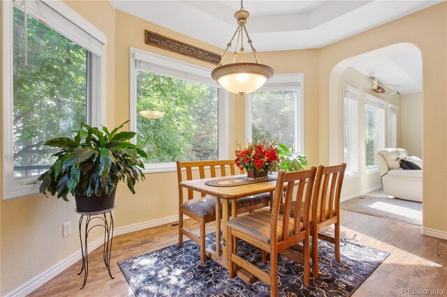 dining room featuring arched walkways, a healthy amount of sunlight, light wood-style floors, and baseboards