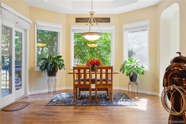 dining space with a wealth of natural light, a raised ceiling, and light hardwood / wood-style floors