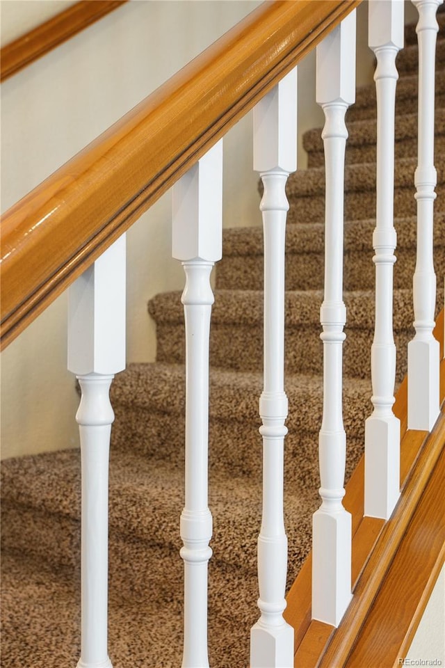 stairway with carpet flooring