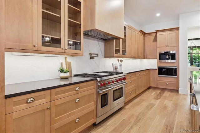 kitchen with ventilation hood, stainless steel appliances, and light hardwood / wood-style flooring