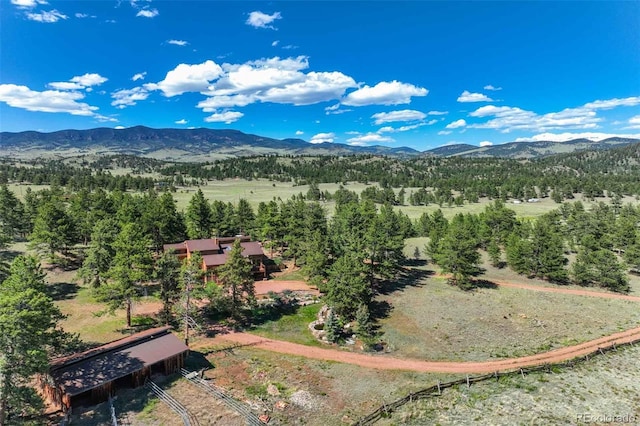 835 Deer Ln, Guffey, CO 80820 - photo 3