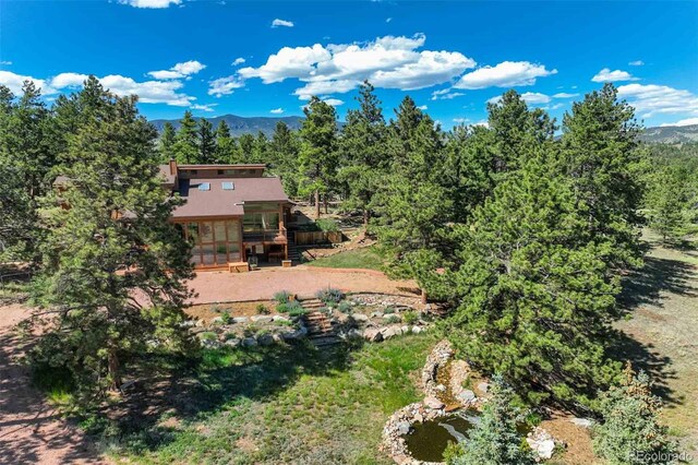 835 Deer Ln, Guffey, CO 80820 - photo 5