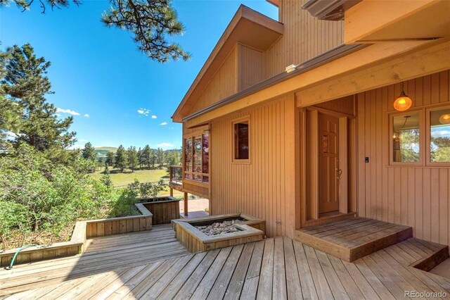835 Deer Ln, Guffey, CO 80820 - photo 7