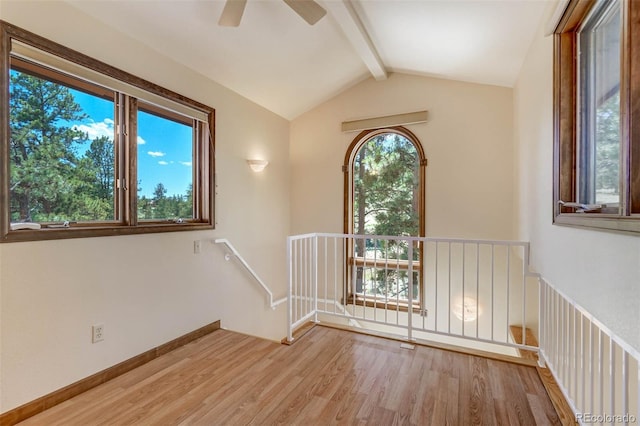 835 Deer Ln, Guffey, CO 80820 - photo 29