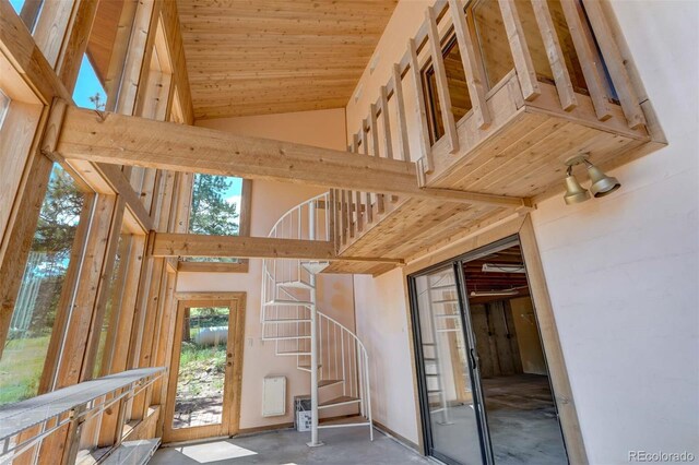 835 Deer Ln, Guffey, CO 80820 - photo 43