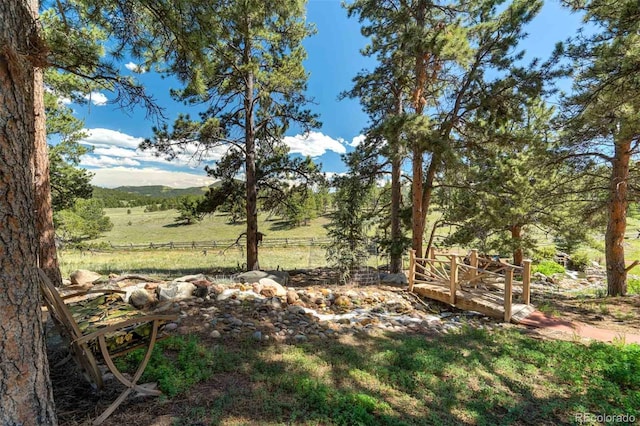 view of yard featuring a rural view