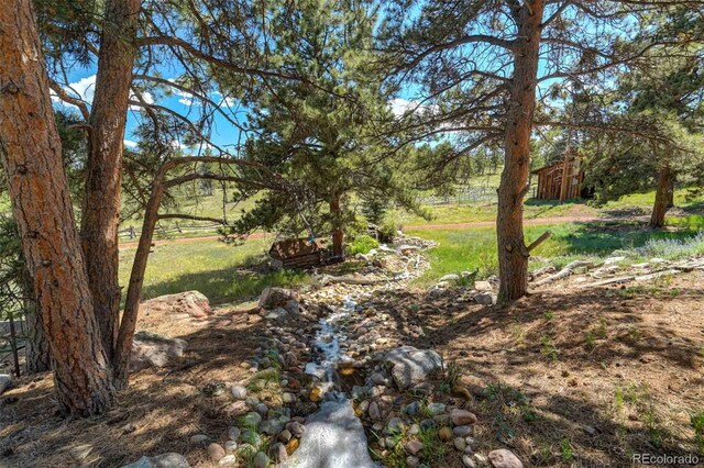 835 Deer Ln, Guffey, CO 80820 - photo 49