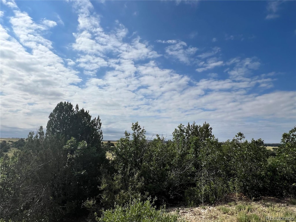 LOT50 Windom Peak, Colorado City, CO 81019