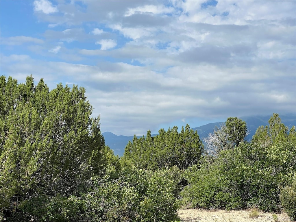 LOT50 Windom Peak, Colorado City, CO 81019