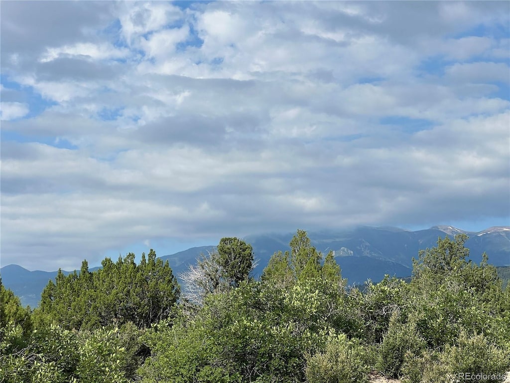 LOT50 Windom Peak, Colorado City, CO 81019