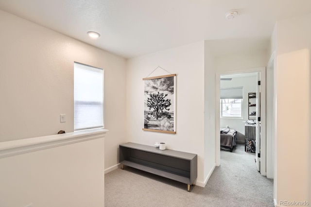 1137 Hummingbird Cir, Longmont, CO 80501 - photo 21