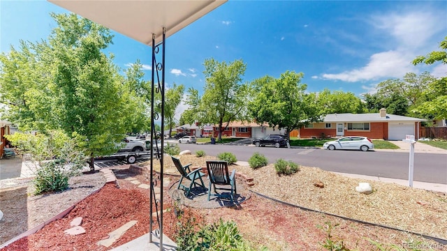 8774 Princeton St, Westminster, CO 80031 - view of yard