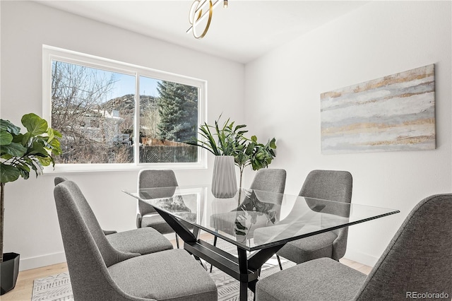 dining space with light hardwood / wood-style flooring