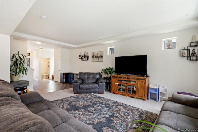 living room with carpet