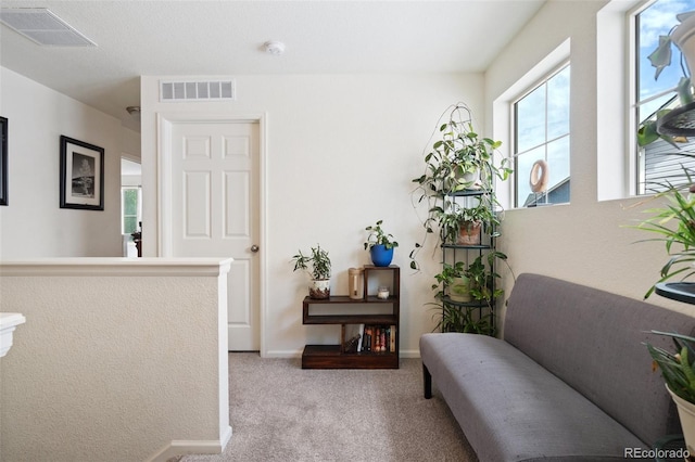 sitting room featuring light carpet