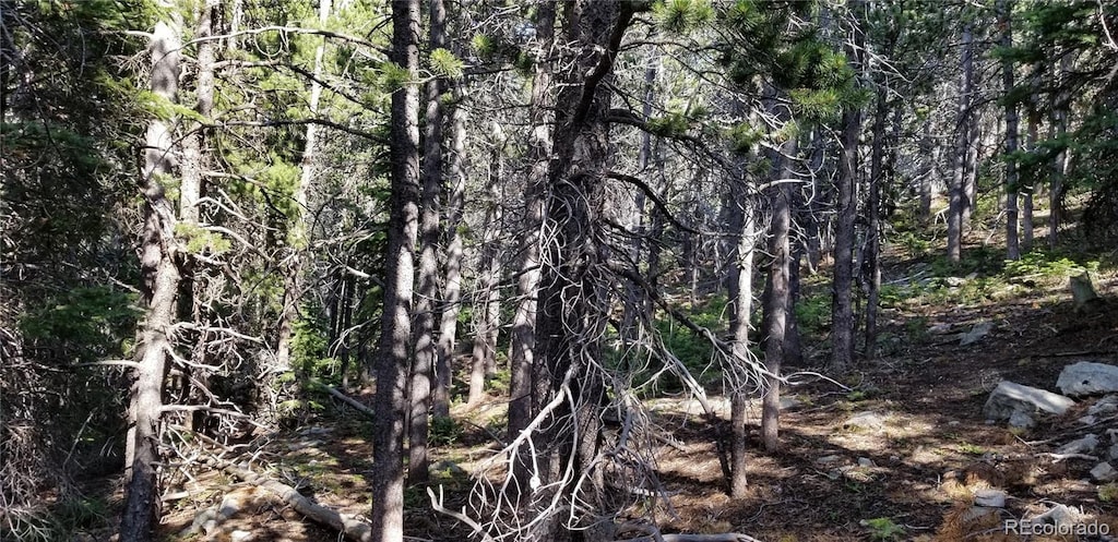 1900 County Road 128j, Nederland, CO 80466