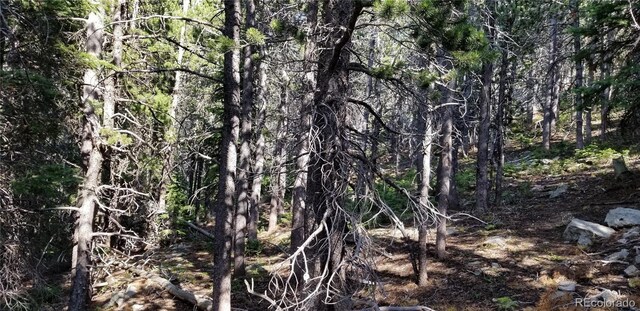 1900 County Road 128j, Nederland, CO 80466