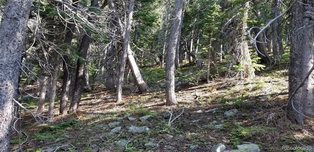 1900 County Road 128j, Nederland, CO 80466