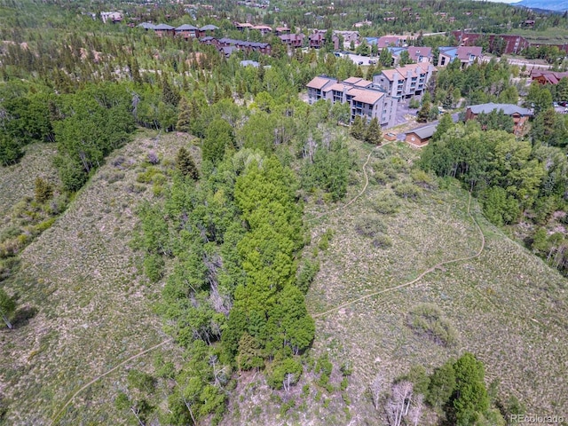 101 Ryan Gulch Ct Unit A202, Silverthorne, CO 80498 - aerial view of property and surrounding area