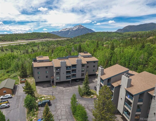 101 Ryan Gulch Ct Unit A202, Silverthorne, CO 80498 - mountain view featuring a heavily wooded area