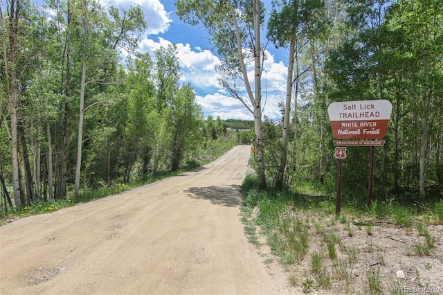 101 Ryan Gulch Ct Unit A202, Silverthorne, CO 80498 - view of dirt / gravel road