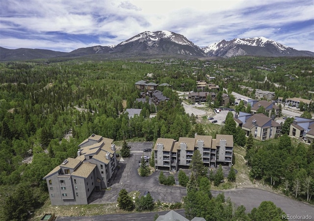 101 Ryan Gulch Ct Unit A202, Silverthorne, CO 80498 - aerial view of property's location with a mountain backdrop and a forest