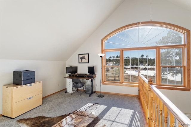 office area featuring a healthy amount of sunlight and light colored carpet