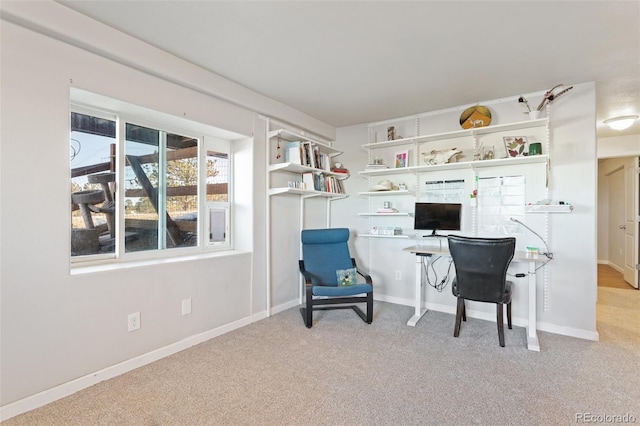 office featuring carpet and baseboards