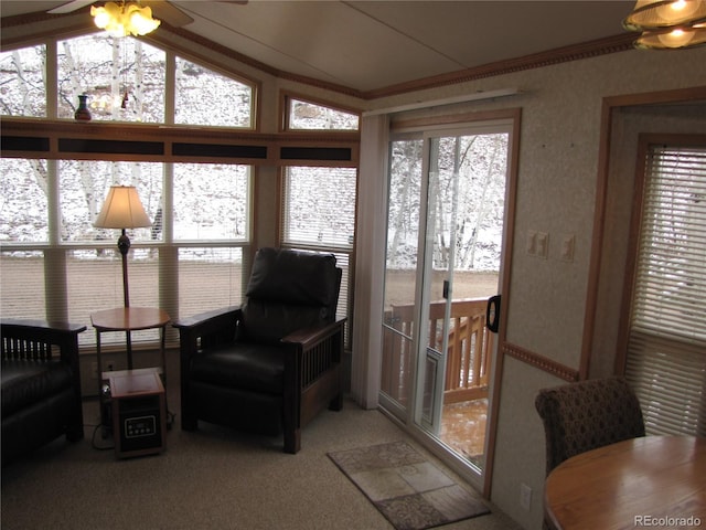 619 Depot Dr, Hartsel, CO 80449