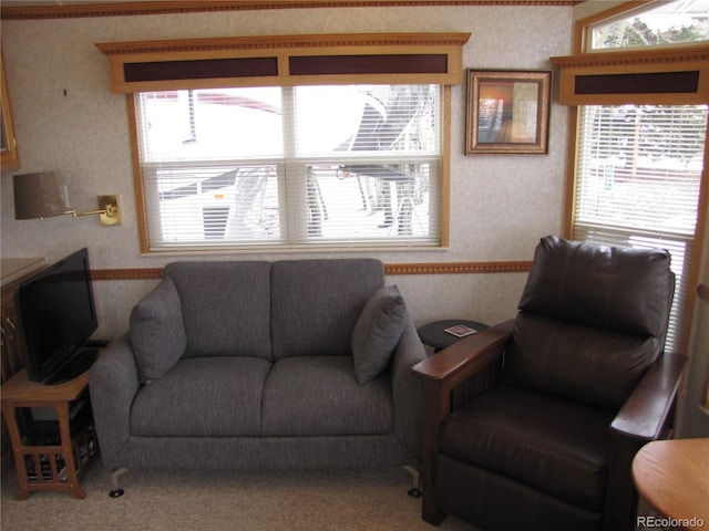 619 Depot Dr, Hartsel, CO 80449