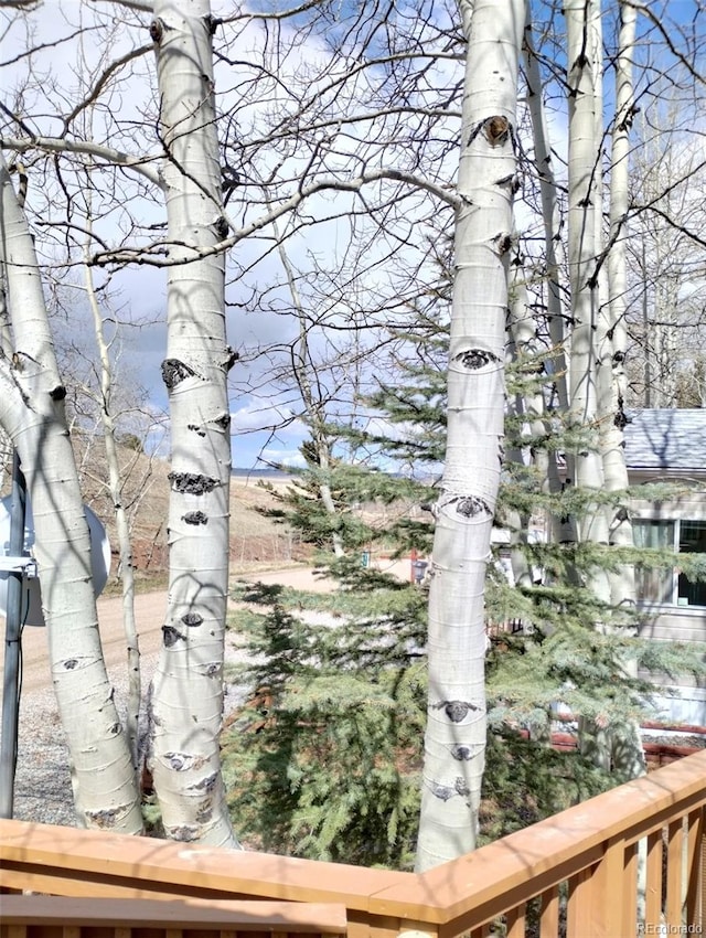 619 Depot Dr, Hartsel, CO 80449