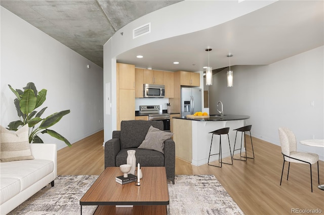 living room featuring sink and light hardwood / wood-style floors