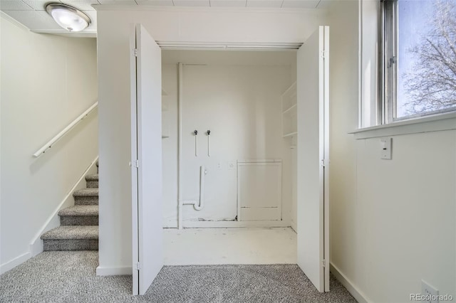 staircase with carpet floors